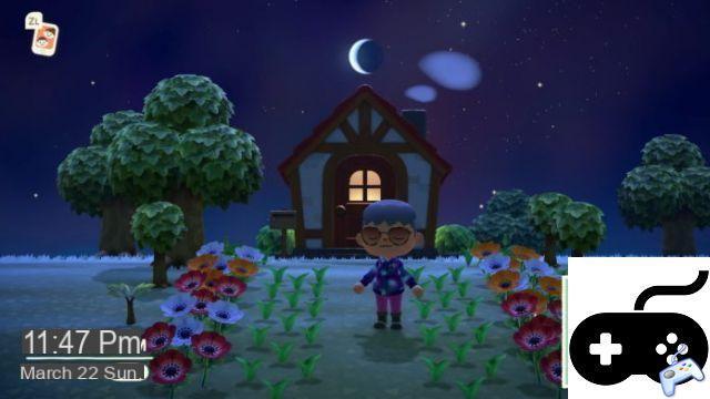 Animal Crossing: New Horizons - What to do with flowers