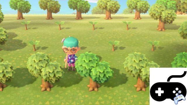 Animal Crossing: New Horizons – Why your trees aren't growing
