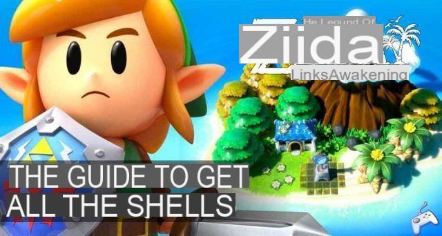 Zelda Link's Awakening guide on Nintendo Switch list and locations of all seashells