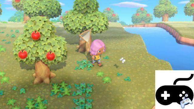 Animal Crossing: New Horizons - How to Get or Craft the Bug Net