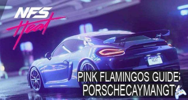Need for Speed ​​Heat guide where all the flamingos are (get the Porsche Cayman GT4)