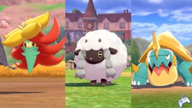 Pokemon Sword & Shield: Drastically Increase Your Shiny Chance | Manual of Egg Production 