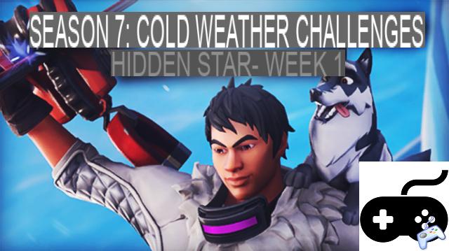 Extreme Cold Challenges: Find the Hidden Stars of the Hidden Challenges