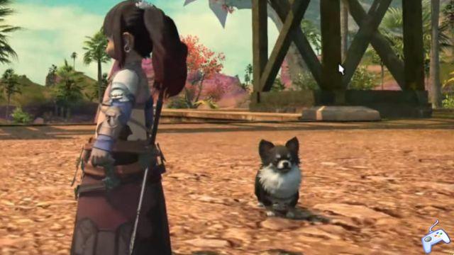 How to Get Chewy the Pomeranian Dog Minion in Final Fantasy XIV