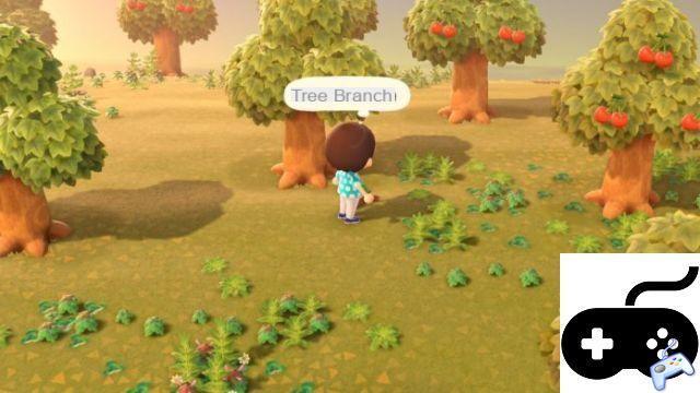Animal Crossing: New Horizons - How to Pick Up Items