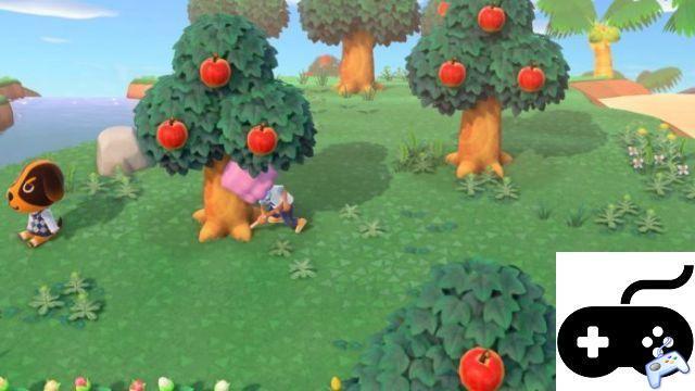Animal Crossing: New Horizons – When do fruits grow back