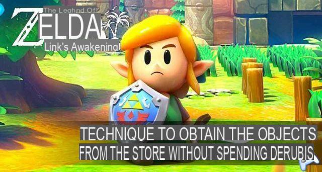 Guide Zelda Link's Awakening on Nintendo Switch how to steal items from stores?