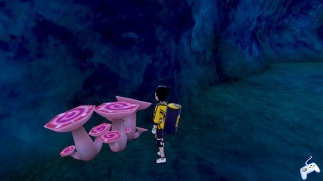 Pokémon Sword and Shield: Isle of Armor - Where are the three Max Mushrooms?