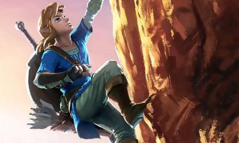 Zelda Breath of the Wild: here's a tip for climbing without losing stamina