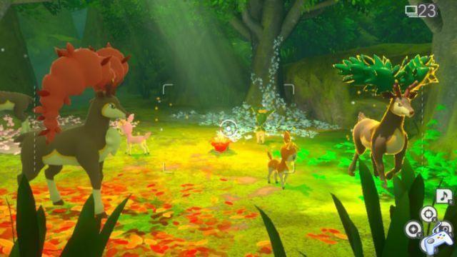 New Pokemon Snap: How To Enter All Forest Areas Elsewhere | Guide to Secrets