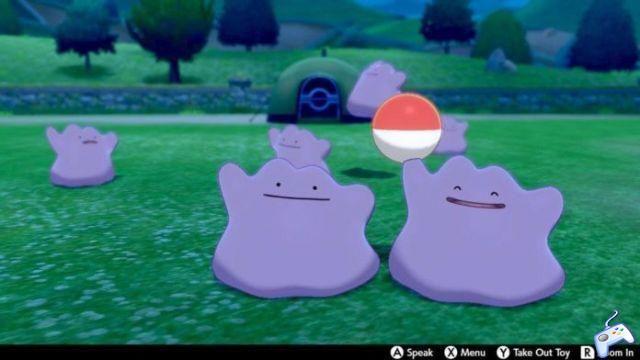 How to get a Ditto 4IV – Pokemon Sword and Shield