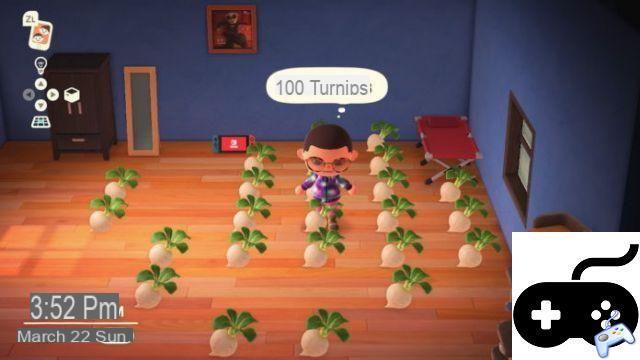 Animal Crossing: New Horizons - Where to Put Turnips