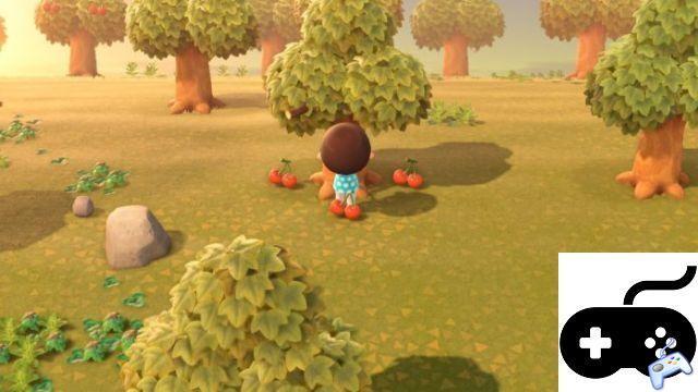 Animal Crossing: New Horizons – How to change native fruits on the island