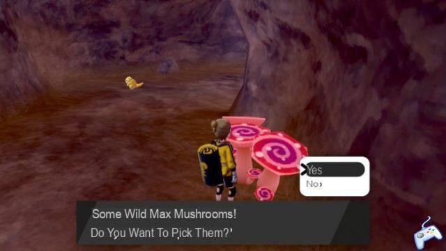 Pokémon Sword & Shield: Isle of Armor DLC – How To Get Maximum Mushrooms | Max Soup Breeding Guide