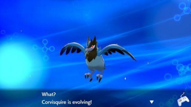 How to Evolve Blueberry into Corviknight - Pokemon Sword and Shield
