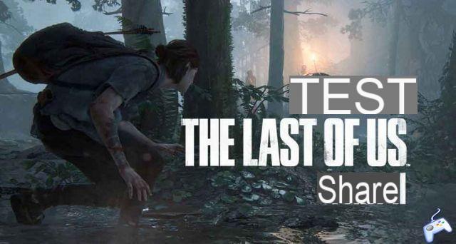 Test The Last of Us Part 2 our opinion on the long-awaited sequel to the adventures of Ellie and Joel