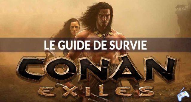 Guide Conan Exiles the tips and tricks to survive in this world of barbarians!