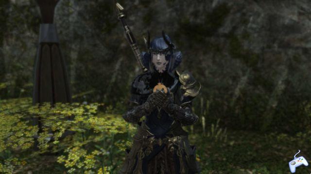 How to Get the Revival Doctor Set and Eat the Pumpkin Cookie Emote in Final Fantasy XIV