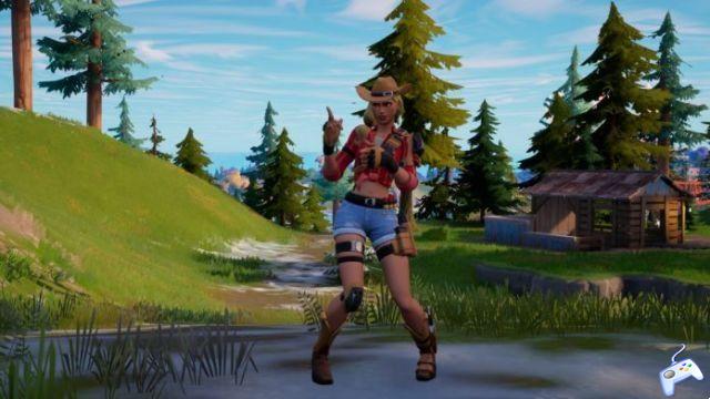 Fortnite: how to interact with Sunbird or Moon Hawk and Rustler and complete the challenge