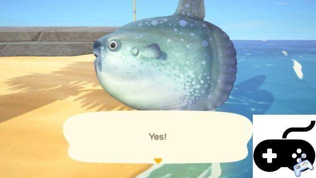 Animal Crossing: New Horizons – What Fish Can I Catch Right Now